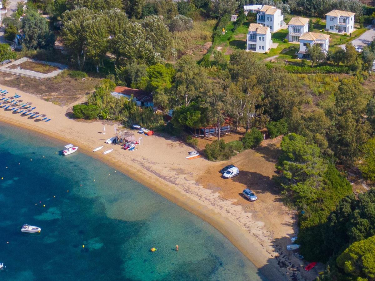Kleopatra - Seaside * Kolios